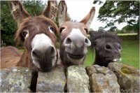 /album/galeria-de-fotos/imagem4-jpg/