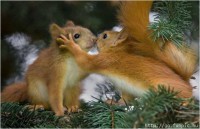 /album/galeria-de-fotos/imagem5-jpg/