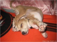 /album/galeria-de-fotos/imagem21-jpg/