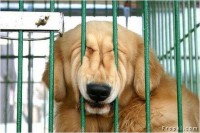 /album/galeria-de-fotos/imagem22-jpg/