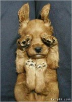 /album/galeria-de-fotos/imagem23-jpg/