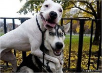 /album/galeria-de-fotos/imagem25-jpg/