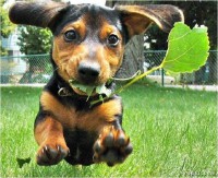 /album/galeria-de-fotos/imagem29-jpg/