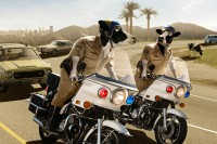 /album/galeria-de-fotos-criativas/cret4-jpg/