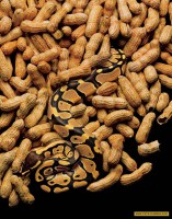 /album/galeria-de-fotos-criativas/a2-jpg/