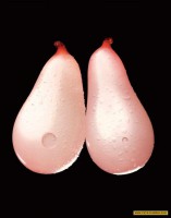 /album/galeria-de-fotos-criativas/a3-jpg/