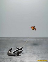 /album/galeria-de-fotos-criativas/a4-jpg/